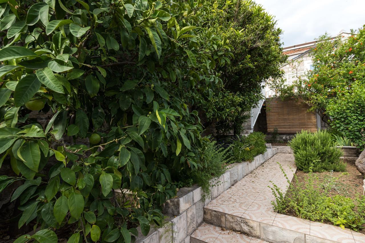 Eco Kate Apartamento *